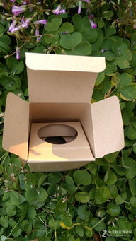 智享生活LifeSmart 以水晶头为媒，开启智慧家居新篇章